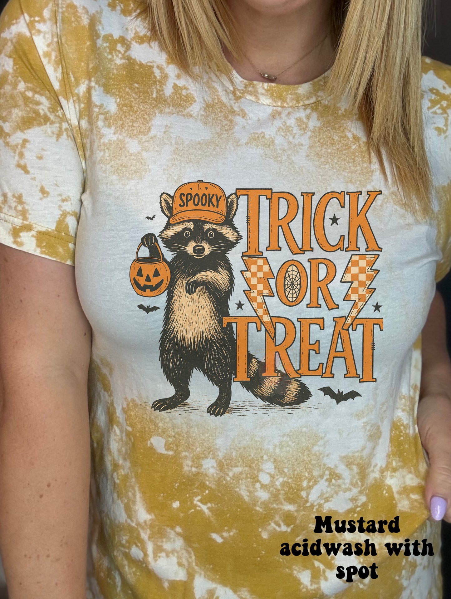 Trick or treat raccoon