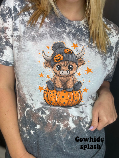 Beanie cow jack-o-lantern