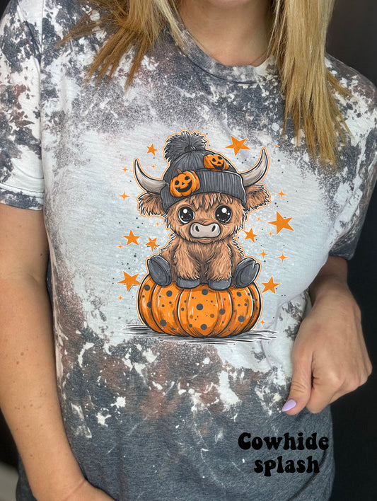 Beanie cow jack-o-lantern