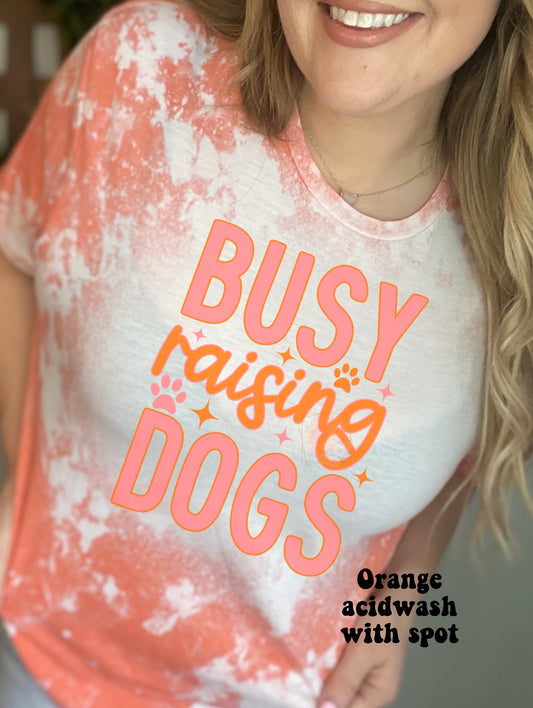 Busy raising dogs peachy orange