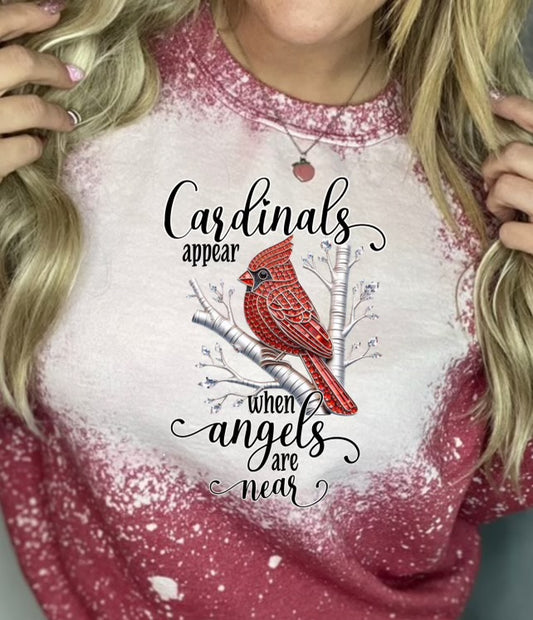 Cardinals Appear When Angels Are Near