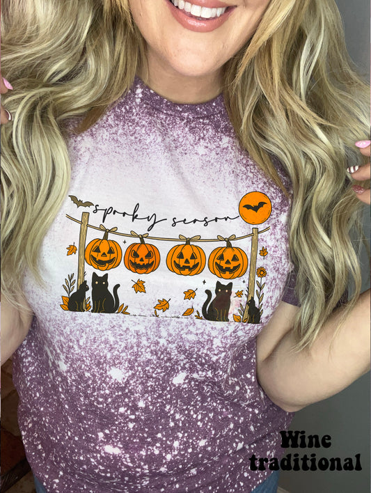 Spooky season kitty & pumpkin clothesline