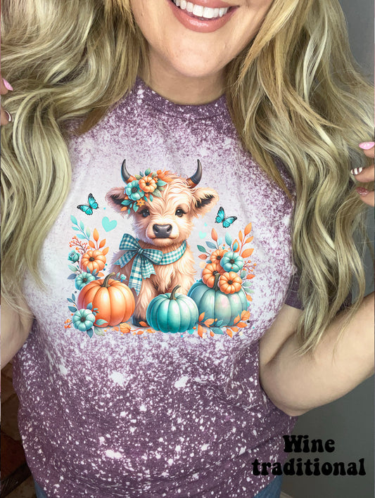 Turquoise and orange fall highland
