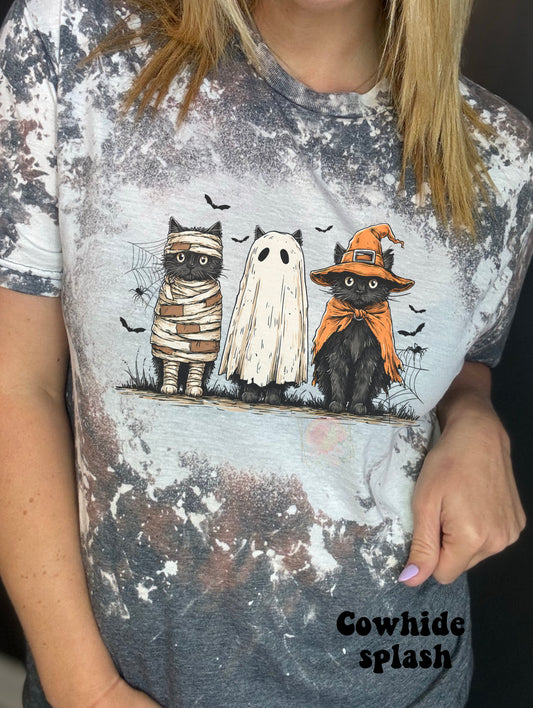 Black cat costume trio