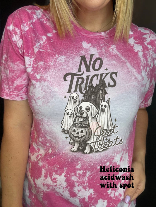 No tricks all treats dogs