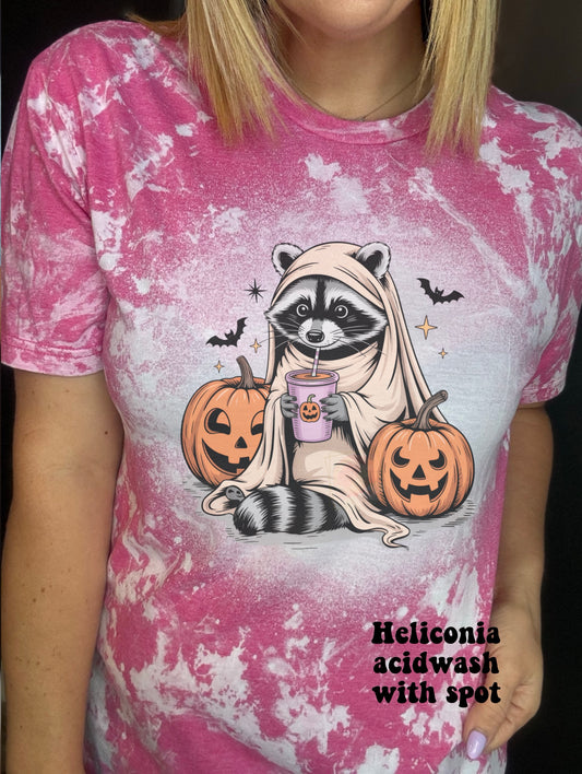 Pumpkin spice raccoon