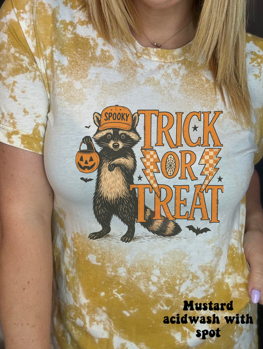 Trick or treat raccoon