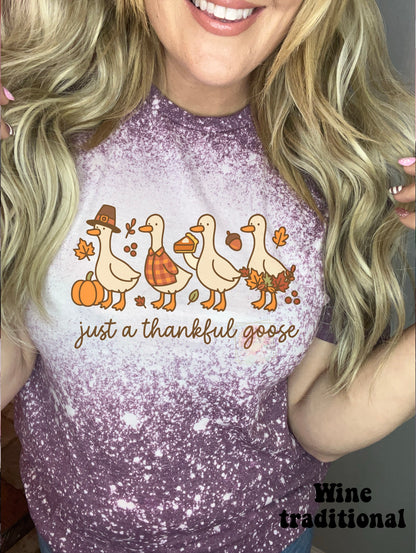 Just a thankful goose