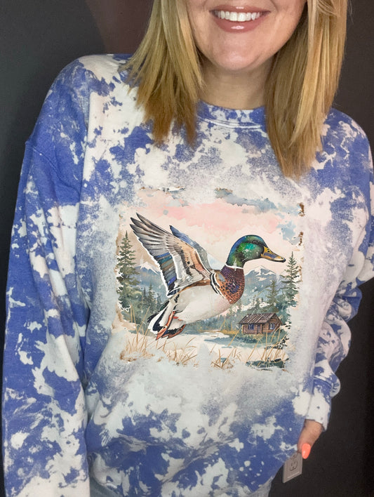 Winter mallard