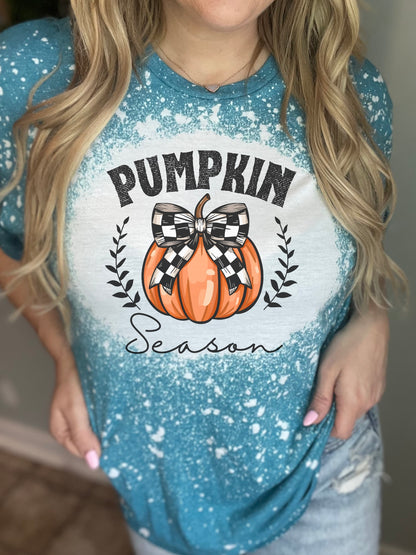 Pumpkin season with checker bow