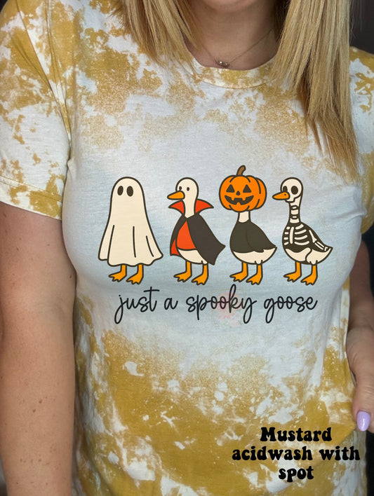 Get in loser we’re going haunting geese